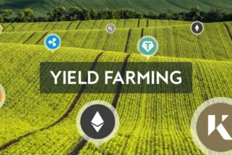 Best DeFi Wallets for Yield Farming and Staking